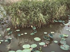 -龙环葡韵住宅式博物馆