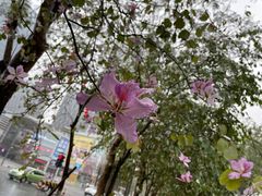 -老伙记海鲜码头(北滘店)