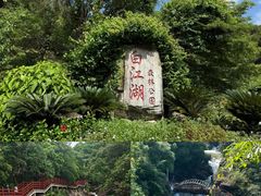 -广州白江湖森林公园