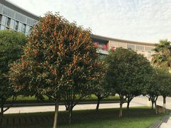 -西南政法大学(沙坪坝校区)