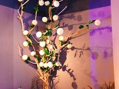 -sugarman espresso素饮糖人高新咖啡工厂