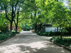 -同济大学(沪西校区)