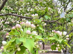 -元大都城垣遗址公园