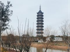 -碧海金沙