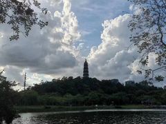 -顺峰山公园