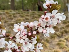 -元大都城垣遗址公园