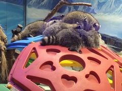 -华夏文旅海洋公园