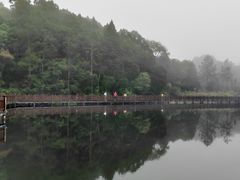 -海南热带雨林国家公园吊罗山景区