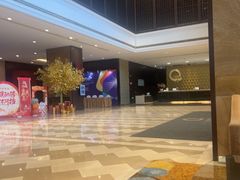 -上海浦东国际旅游度假区绿地铂骊酒店