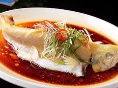 清蒸鮰鱼-汇金酒店·餐厅