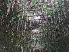 -苏州太湖国家湿地公园