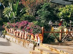 -聚缘·湘味音乐餐厅party(罗湖店)