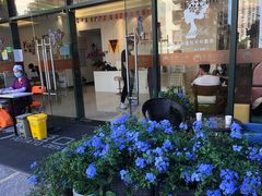 -土豆口腔(凤凰北总店)