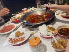 -蜀滋香鲜鱼美蛙火锅(339店)