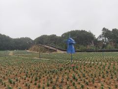 -广州市流溪河国家森林公园