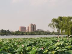 -济南大明湖景区