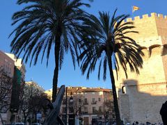 -瓦伦西亚大教堂