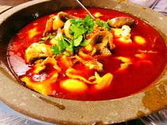 石锅鱼-虎虎龙虾大排档(双井店)