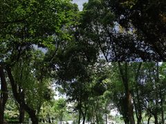 -百林公园-两江幸福广场