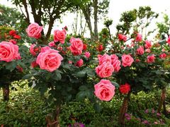 -上海望仙安息园