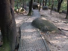 -火炉山森林公园