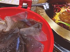 -小龙坎火锅(总店)