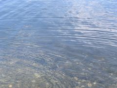 -洱海月湿地公园