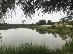 -东郊湿地公园