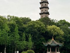 -江心屿景区