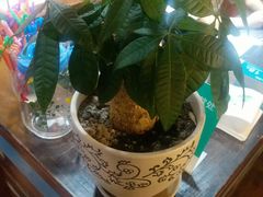 -Thai Basil罗勒叶泰式餐厅(时代天街店)