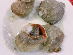 大海螺-板桥海鲜广场(文明东店)