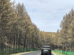 -御道口草原森林风景区