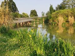 -白鹭湾湿地公园