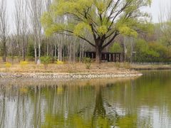 -将府公园