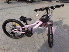 -道路口单车爱瓦士dahon大行