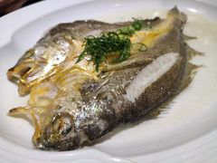 海钓大黄花鱼-广东道至正餐厅(区庄店)
