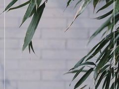 -恭王府博物馆