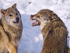 -艺林盲人按摩院(长寿店)