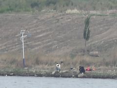 -南翠屏公园