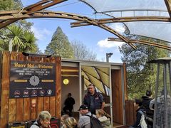 -怀托摩萤火虫洞