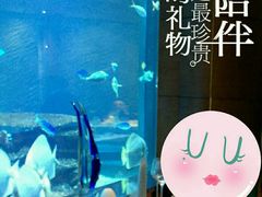 -迪拜帆船酒店海底餐厅