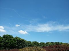 -松山湖梦幻百花洲