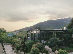 -蘇河湾·新鲁菜·泰山宴(泰山店)