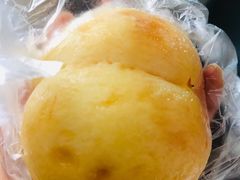 -南汇新场正宗水蜜桃采摘