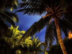 -三亚湾海居铂尔曼度假酒店