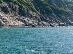 -小猫钓鱼海钓俱乐部(椰梦长廊店)