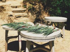 -终南山国家森林公园