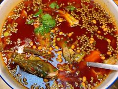 -青城甲(青城山店)