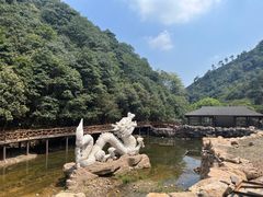 -午潮山国家森林公园