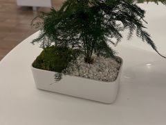 -常乐·对症推拿(深业上城第118分店)